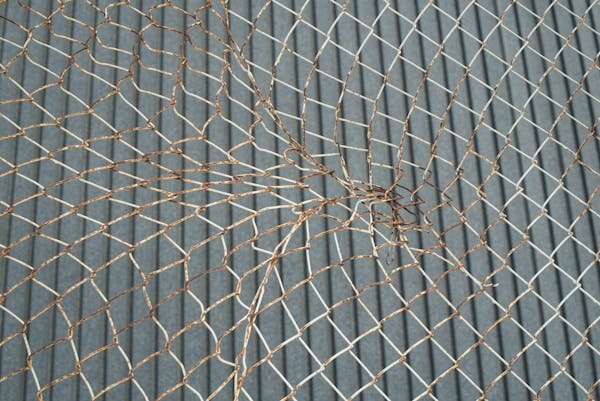 Protégez votre toiture avec un filet anti-pigeon efficace