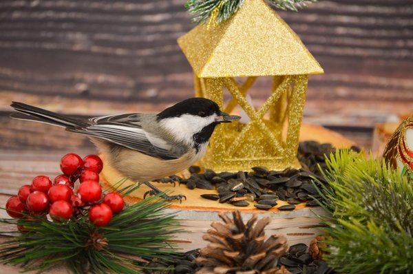Ornements à suspendre en or et argent pour bureaux élégants